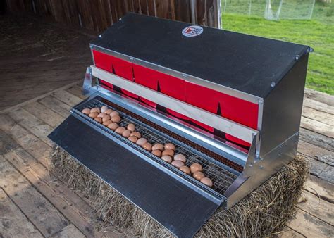 metal egg collecting nesting boxes roll away eggs|external roll away nest box.